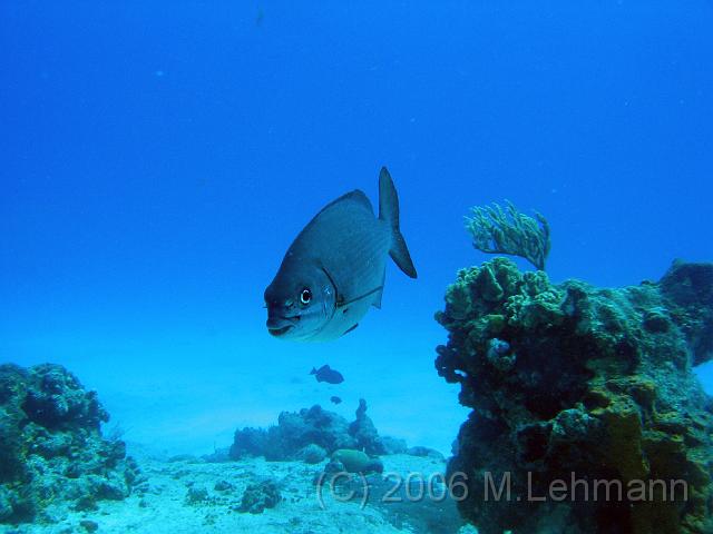 IMG_6794.JPG