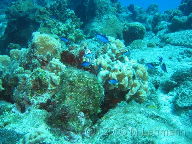 IMG_6795.JPG