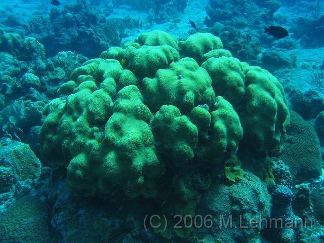 IMG_6797.JPG