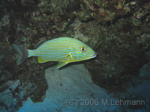 IMG_6799.JPG