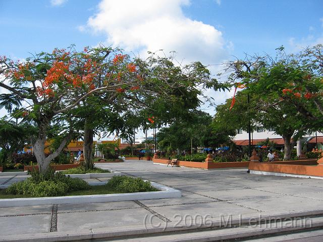 IMG_6819.JPG