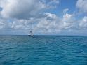 IMG_6699