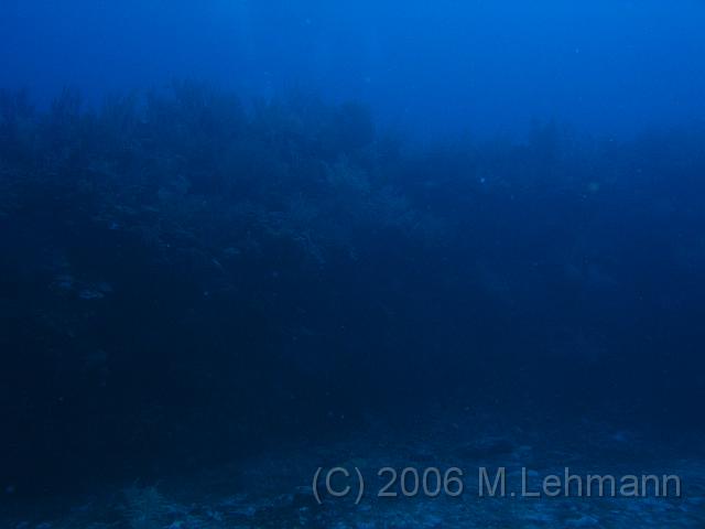 IMG_6992.JPG