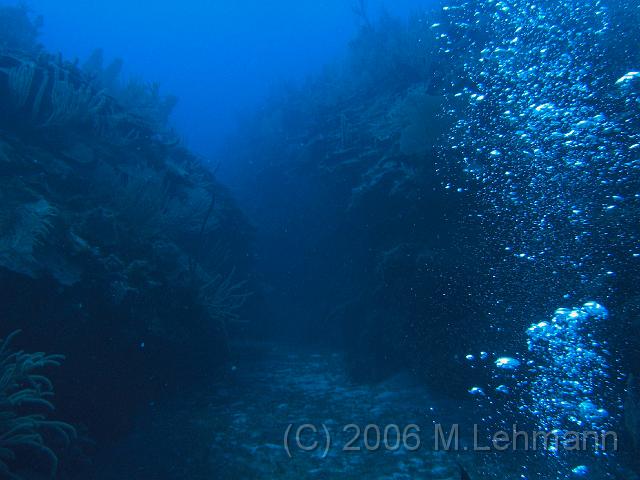 IMG_6996.JPG
