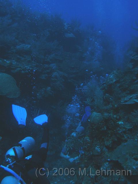 IMG_7004.JPG