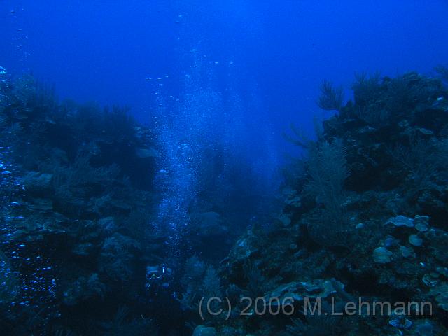 IMG_7005.JPG