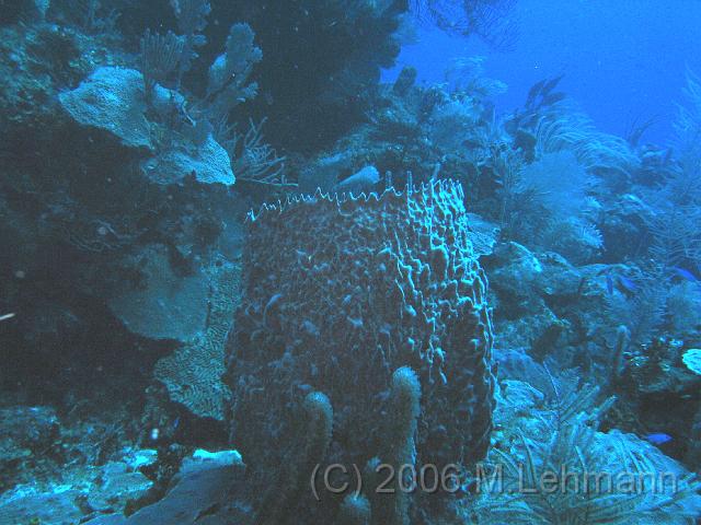 IMG_7012.JPG