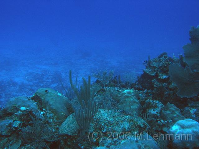 IMG_7027.JPG