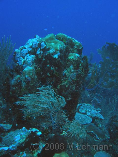 IMG_7030.JPG