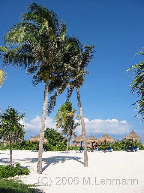 IMG_7049.JPG