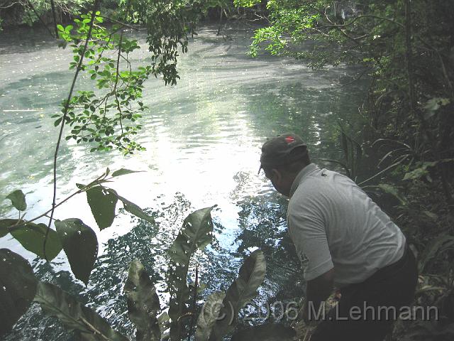 IMG_7074.JPG