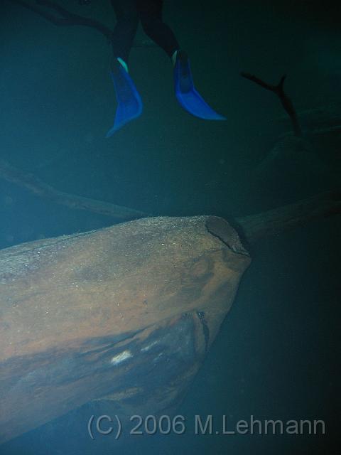 IMG_7097.JPG