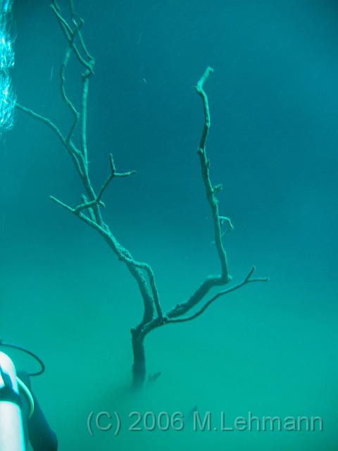 IMG_7100.JPG