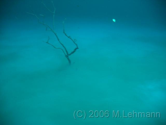 IMG_7115.JPG