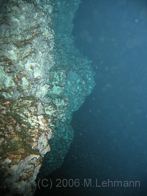 IMG_7117.JPG