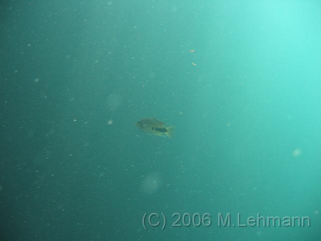 IMG_7125.JPG