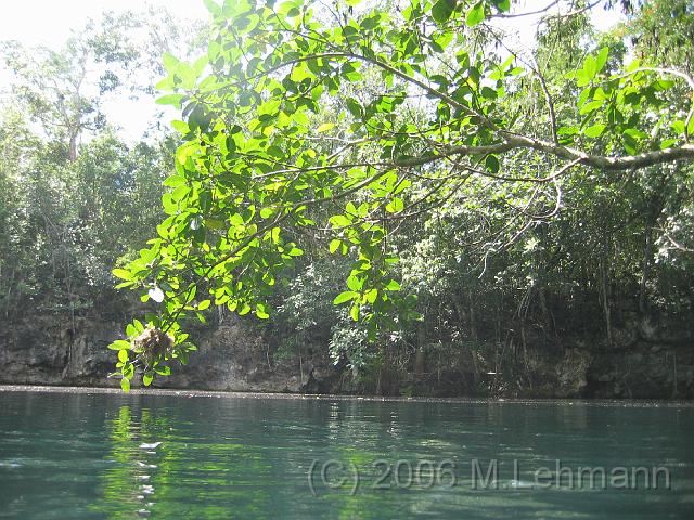 IMG_7126.JPG