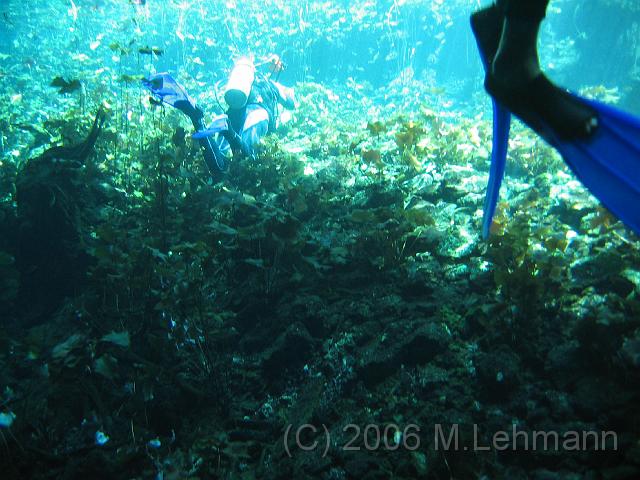 IMG_7153.JPG