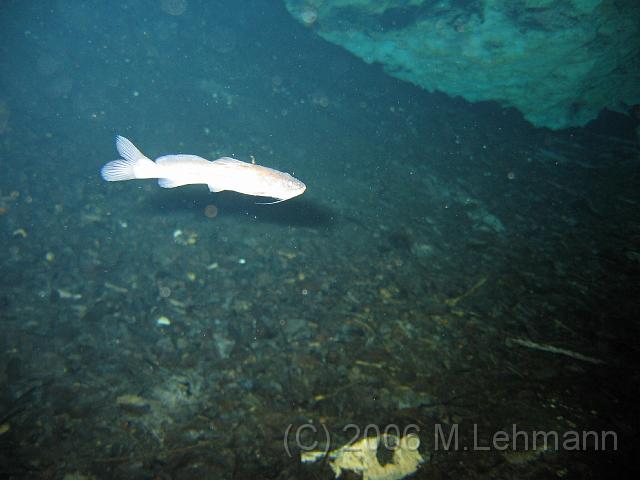 IMG_7192.JPG