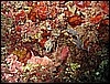 IMG_7490.JPG