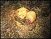 IMG_7495.JPG