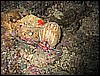 IMG_7496.JPG