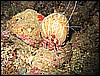 IMG_7497.JPG