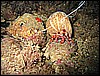 IMG_7498.JPG