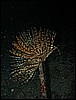 IMG_7504.JPG