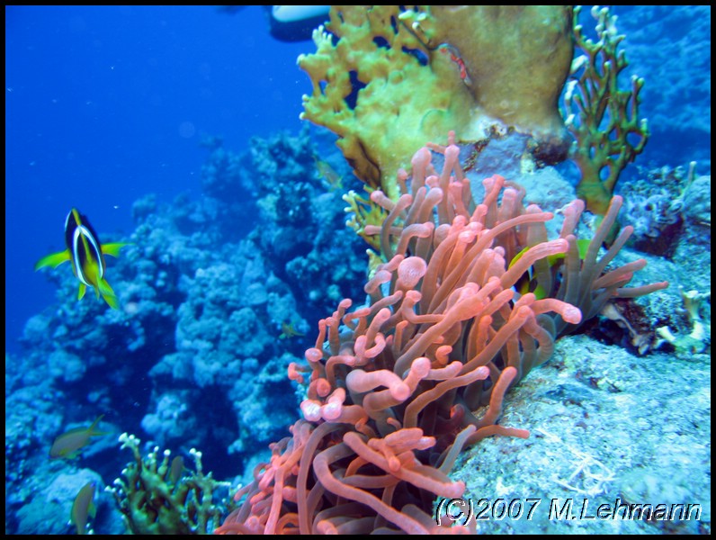 IMG_0883.JPG