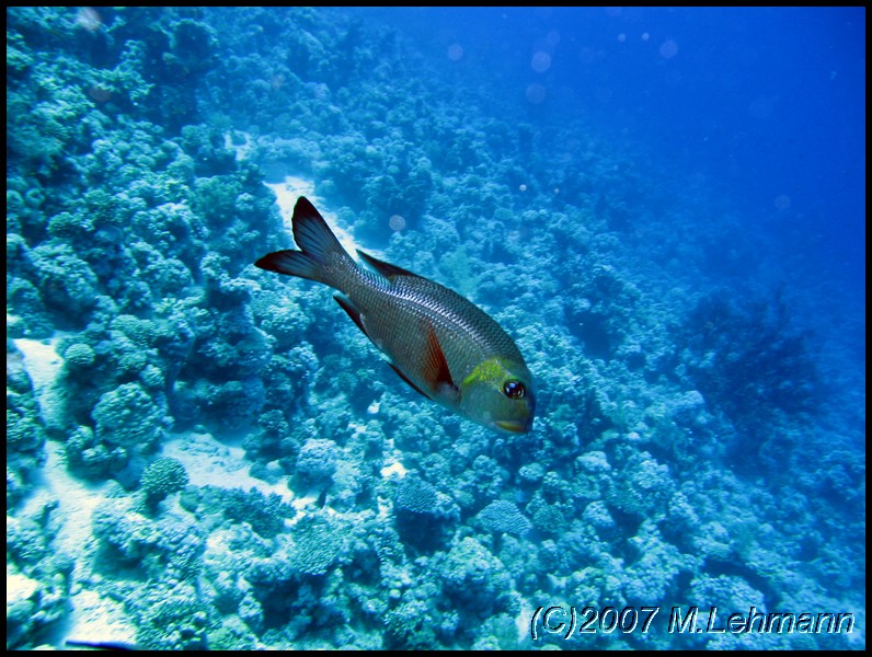 IMG_0895.JPG