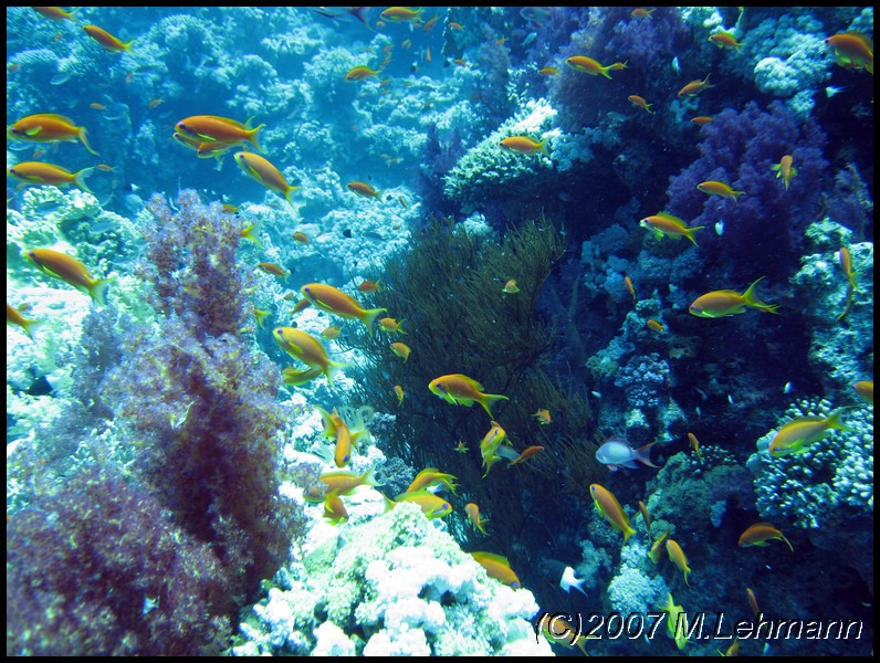 IMG_0902.JPG