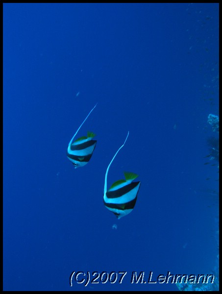 IMG_0938.JPG