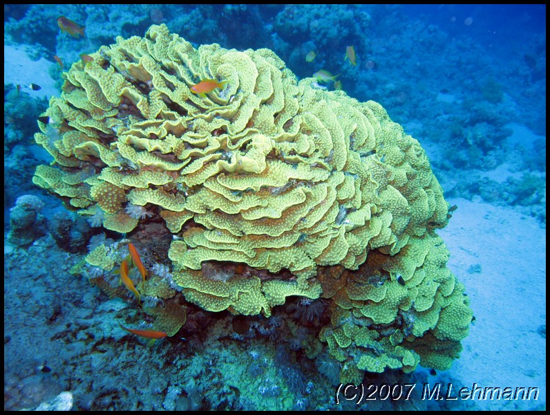 IMG_1004.JPG