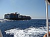 IMG_0871.JPG