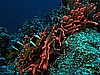 IMG_0882.JPG