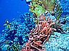 IMG_0883.JPG