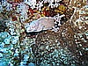 IMG_0890.JPG