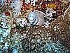 IMG_0891.JPG