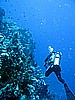 IMG_0892.JPG