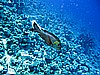 IMG_0895.JPG