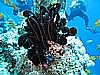IMG_0897.JPG