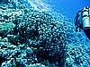 IMG_0898.JPG
