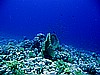 IMG_0900.JPG