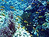 IMG_0902.JPG