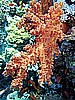 IMG_0906.JPG