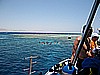 IMG_0910.JPG