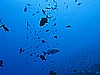 IMG_0921.JPG