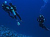 IMG_0927.JPG