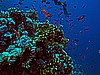 IMG_0932.JPG